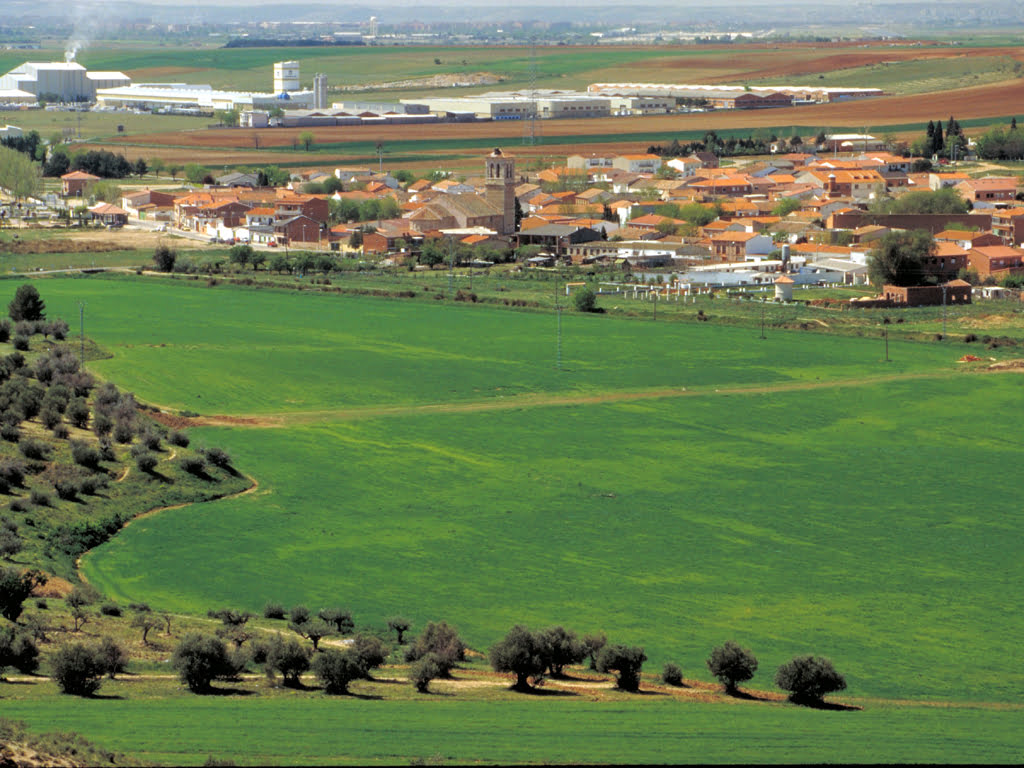 Camarma de Esteruelas
