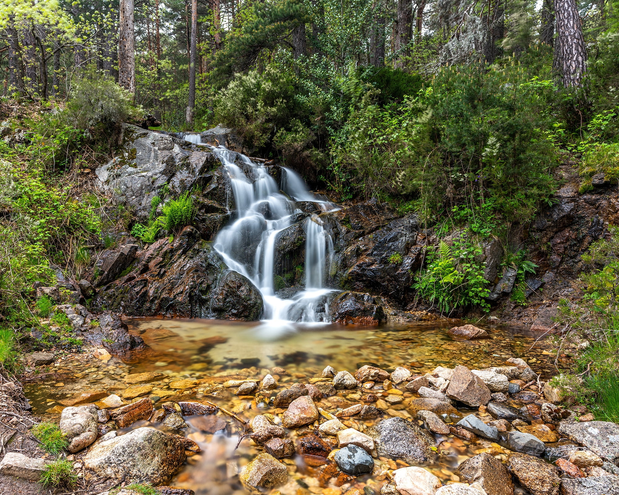 Cercedilla