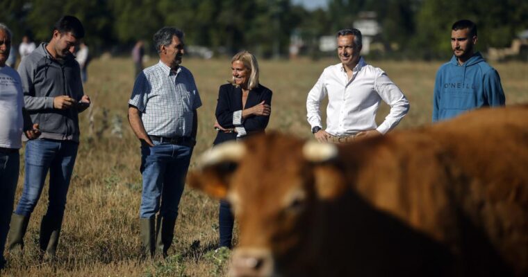 La Comunidad de Madrid impulsa un aumento del 56% en las ayudas a jóvenes agricultores y ganaderos