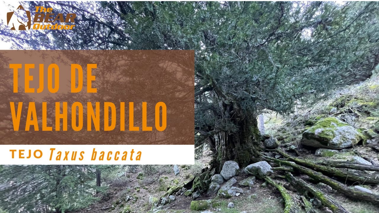 Explora la belleza natural de Brea de Tajo en la Comunidad de Madrid