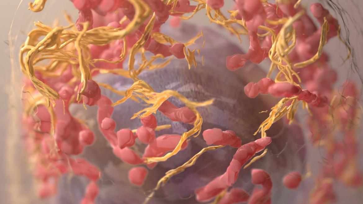 Cómo el IRSST puede ser clave en la prevención del cáncer laboral
