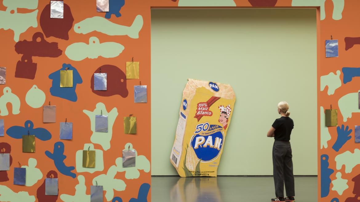 Exposición inaugural en el Museo Centro de Arte Dos de Mayo: Sol Calero y Santiago Sierra en la Comunidad de Madrid
