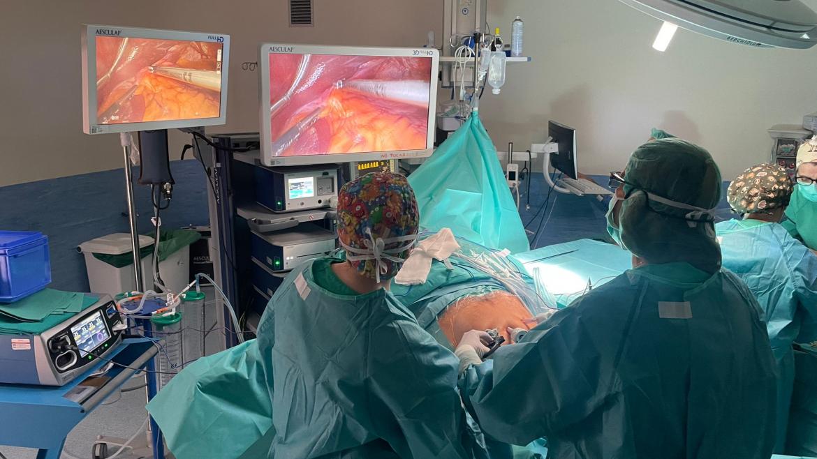 Curso teórico práctico para tratar la hernia de hiato en el Hospital público Infanta Sofía: todo lo que necesitas saber