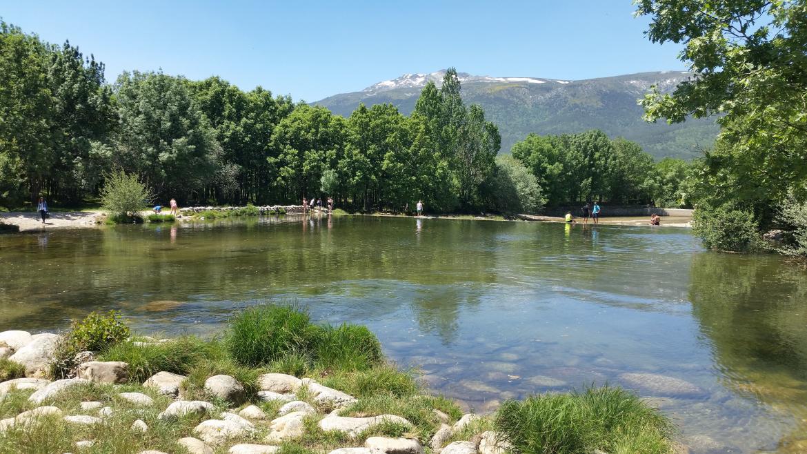 Descubre las nuevas ayudas ambientales para entidades sin ánimo de lucro en la Comunidad de Madrid