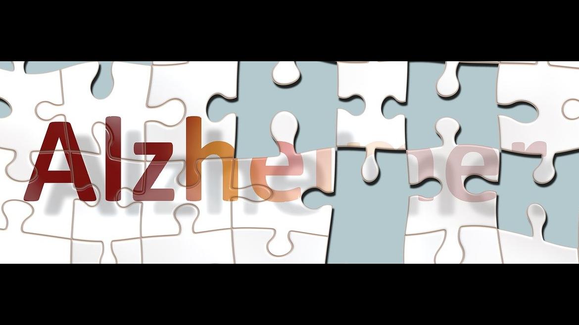 Curso de formación en Alzheimer en la Comunidad de Madrid: ¡Inscríbete ya en noviembre!