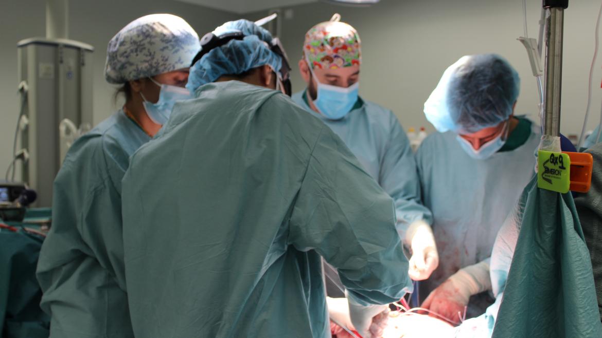 Conoce a la reconocida jefa de Servicio de Cirugía Torácica del Hospital Puerta de Hierro, una de las mejores especialistas en España