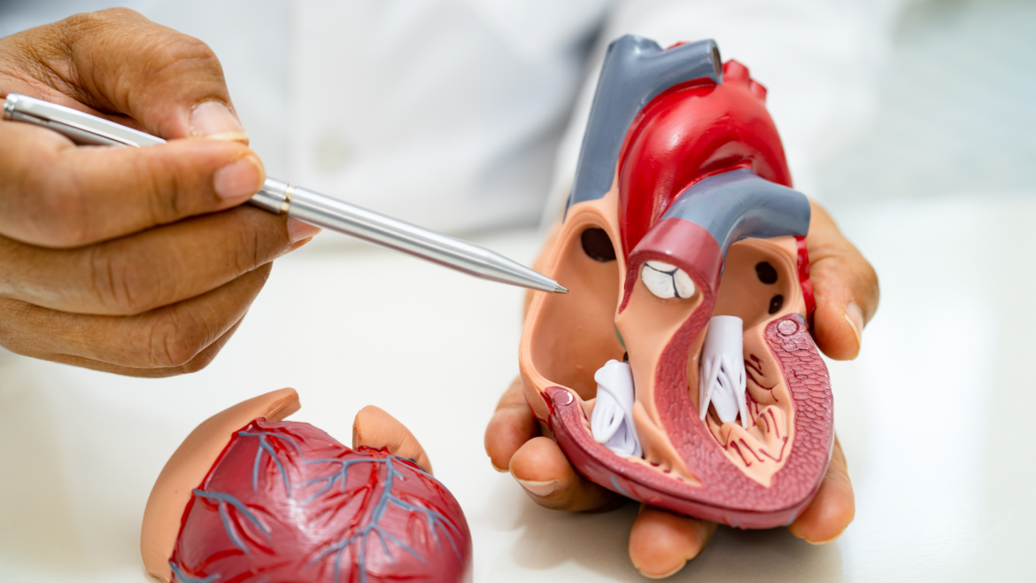 Estudio del Hospital Público Severo Ochoa revela la influencia de la calidad del sueño en pacientes con enfermedad cardiovascular
