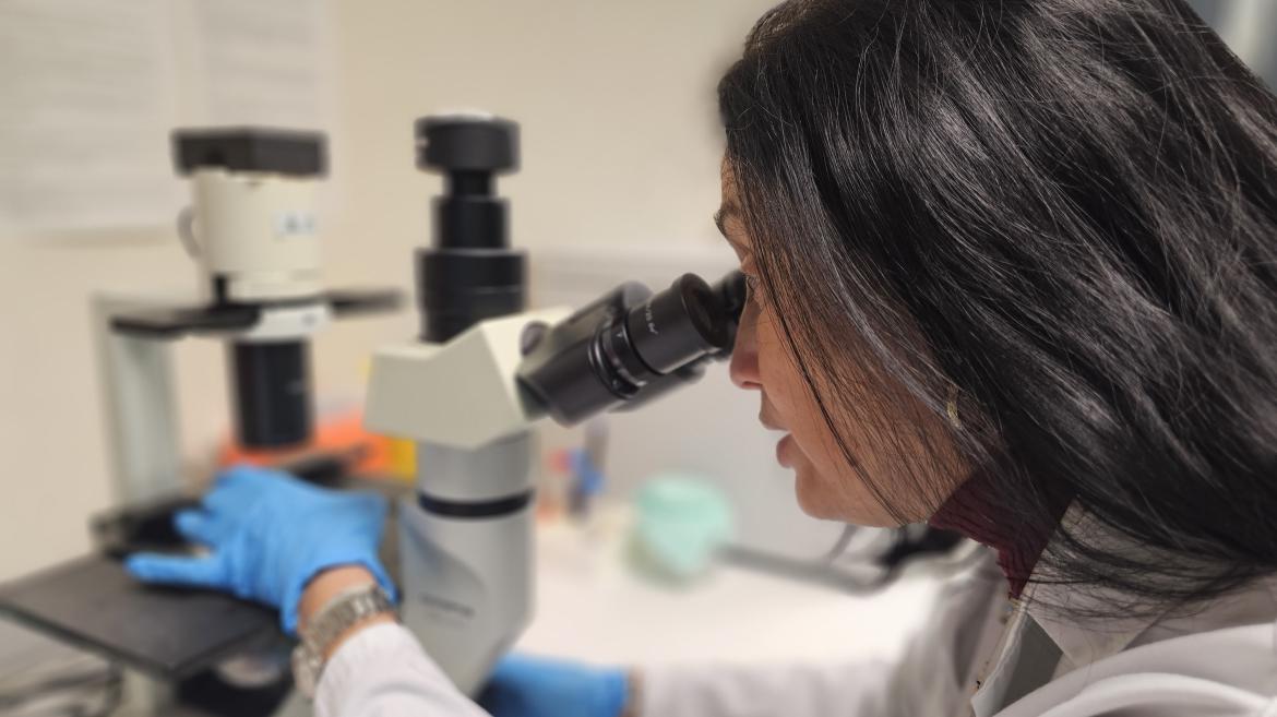 Tratamiento innovador para la pérdida de visión en pacientes con neuropatías ópticas en el Hospital 12 de Octubre: nanopartículas y fármacos