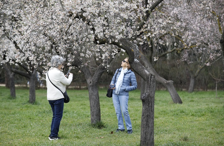 Descubre la belleza de Madrid en la Quinta: un paraíso floral en la ciudad.